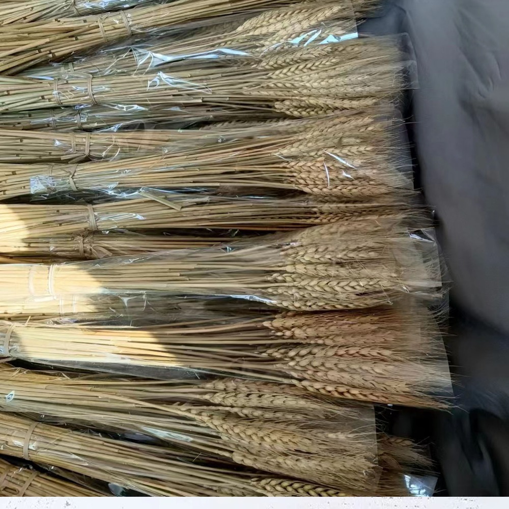 50 adet Yapay Çiçek Doğal Kuru - Dried Flower Bulk incelemesi ve fiyatı
