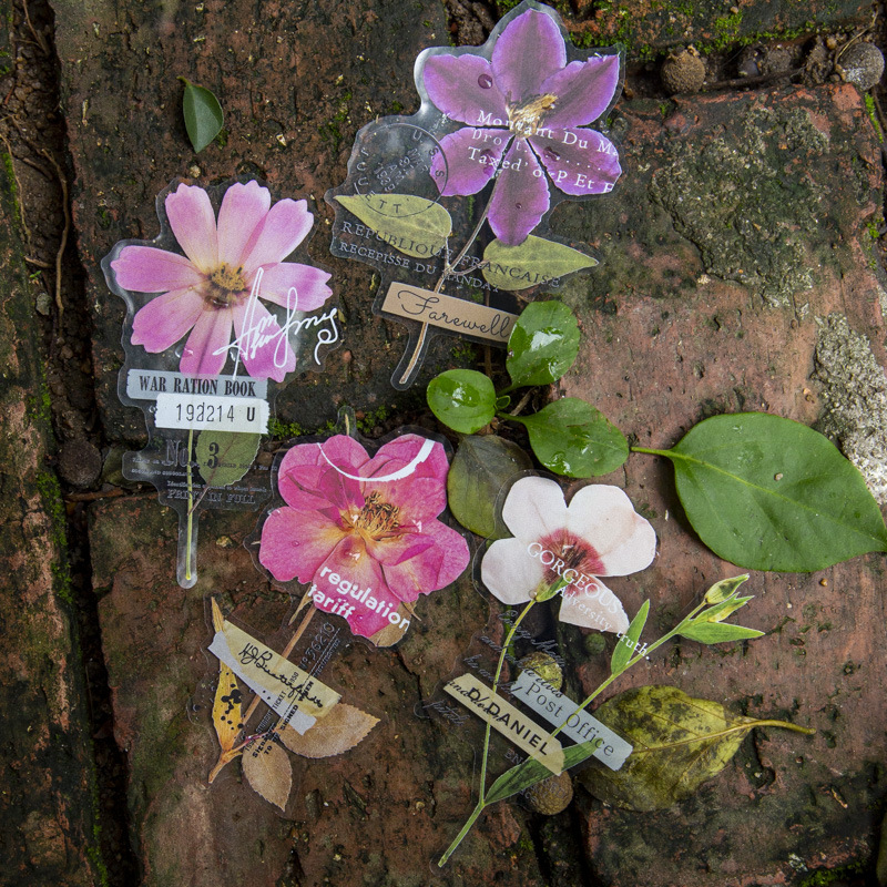 10 Adet/Paket Köşe Çiçek Evi S - Dried Flower Bulk incelemesi ve fiyatı
