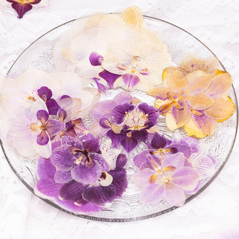 4 adet preslenmiş kurutulmuş P - Dried Flower Bulk incelemesi ve fiyatı