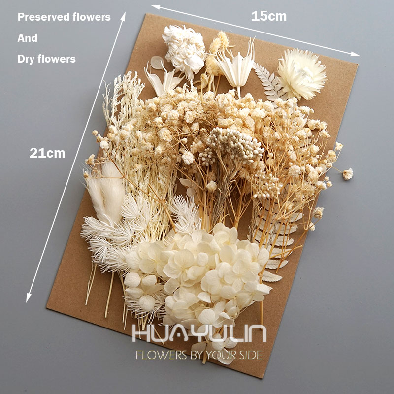 1 Paket Yapay Bitkiler Kurutul - Dried Flower Bulk incelemesi ve fiyatı